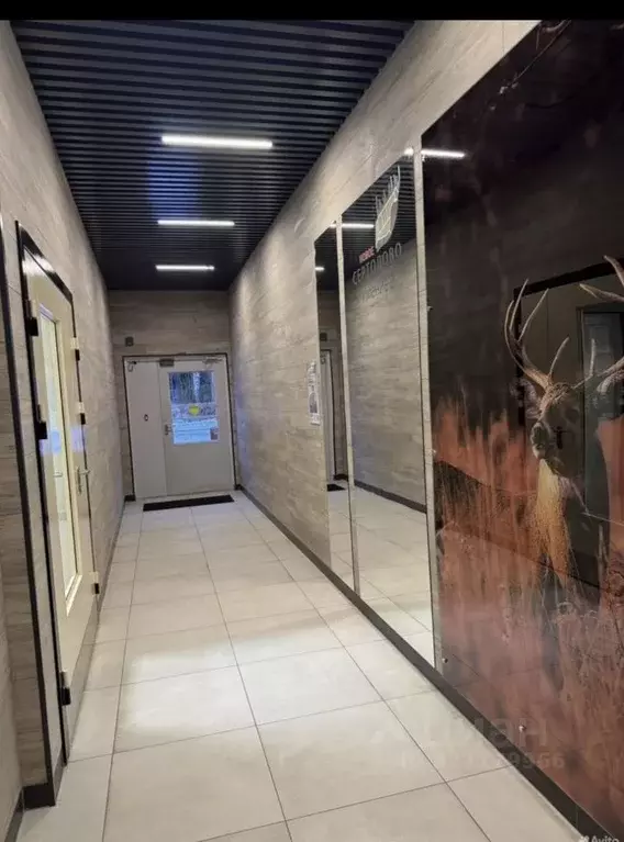 3-к кв. Ленинградская область, Сертолово Всеволожский район, ... - Фото 2