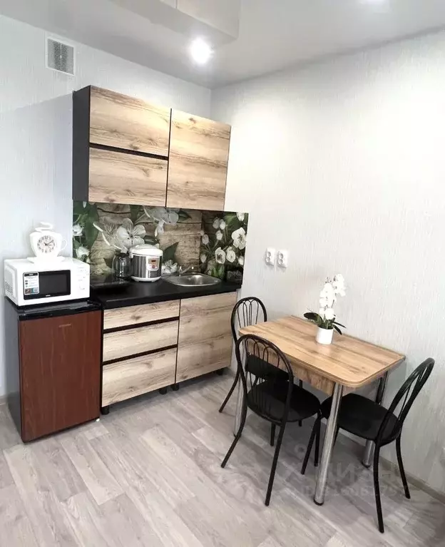 Студия Новосибирская область, Новосибирск ул. Забалуева, 102 (24.0 м) - Фото 1