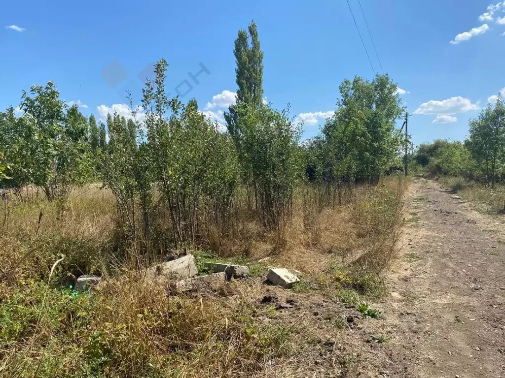 Участок в Краснодарский край, Краснодар Елизаветинская ст-ца, Ромашка ... - Фото 1
