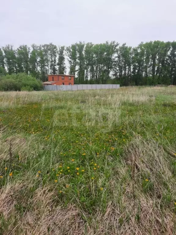 Участок в Мордовия, Саранск городской округ, пос. Пушкино  (15.0 сот.) - Фото 0