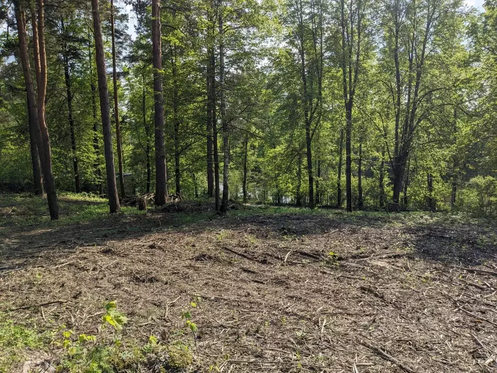 Участок в Московская область, Одинцовский городской округ, д. Иваньево ... - Фото 1