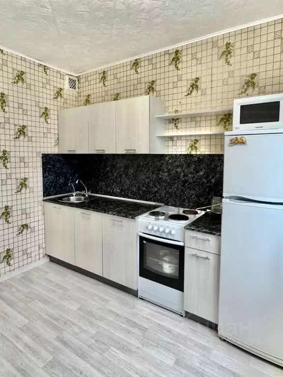 1-к кв. Челябинская область, Челябинск ул. Чичерина, 42 (33.0 м) - Фото 1