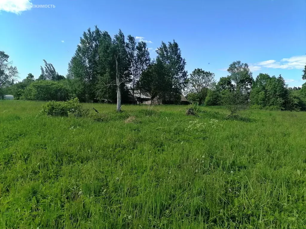 Участок в Псковский район, Тямшанская волость, деревня Лакомцево (30 ... - Фото 1