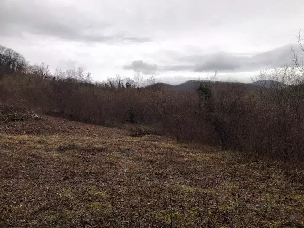 Участок в Краснодарский край, Геленджик городской округ, с. ... - Фото 0