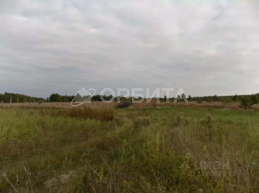 Участок в Тюменская область, Нижнетавдинский район, Царицыно СНТ  ... - Фото 0