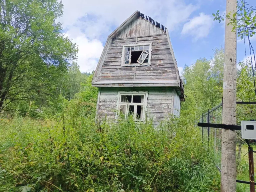 Участок, 6 сот., сельхоз (снт или днп) - Фото 2