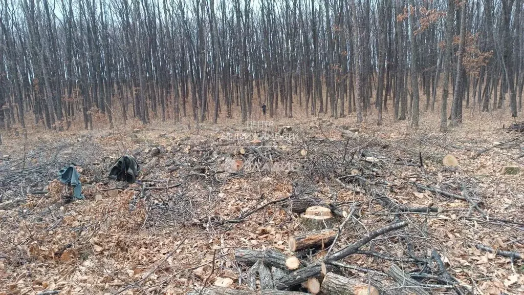 Участок в Приморский край, Арсеньев ул. Доброй Надежды, 19 (10.0 сот.) - Фото 0