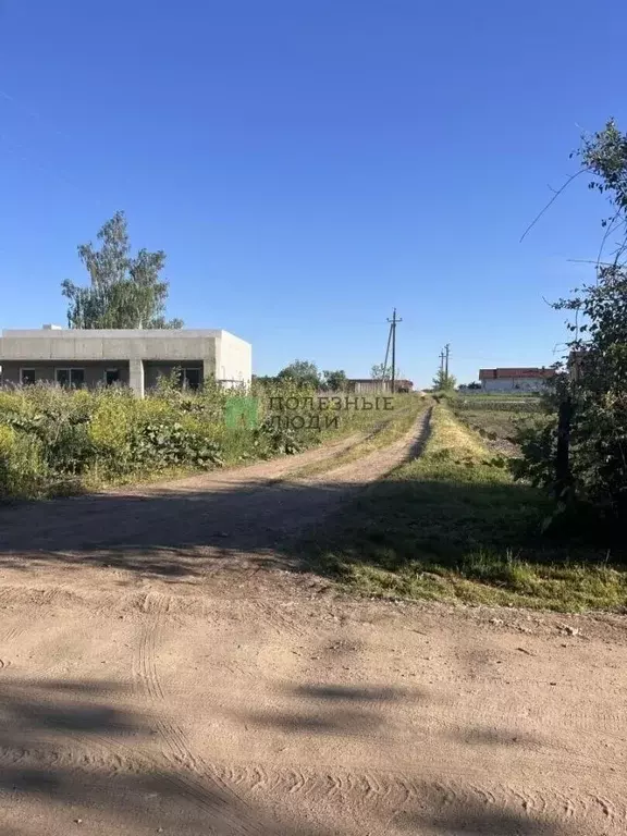 Участок в Орловская область, Орловский муниципальный округ, д. Гать ... - Фото 2