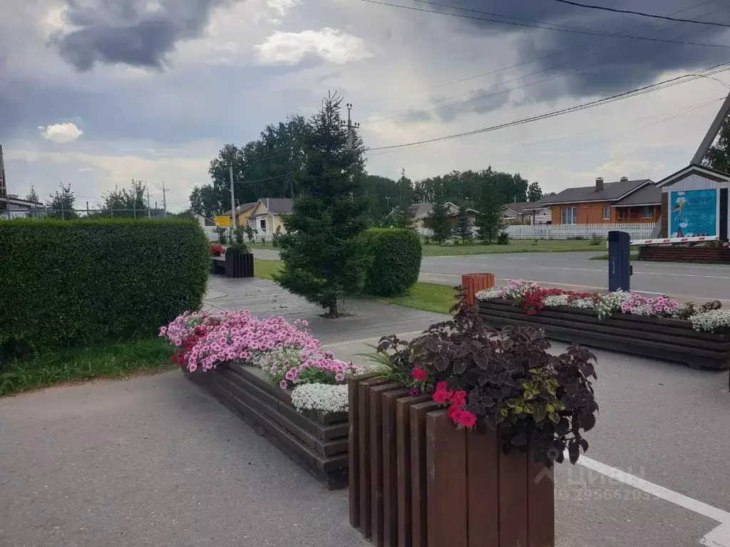 Участок в Омская область, Омский район, с. Красноярка, Аист кп  (9.0 ... - Фото 1