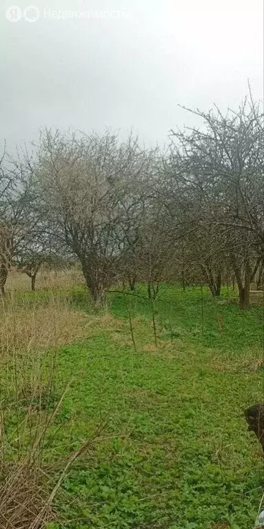 Дом в Калининград, СНТ Чайка, Новая улица (90 м) - Фото 0