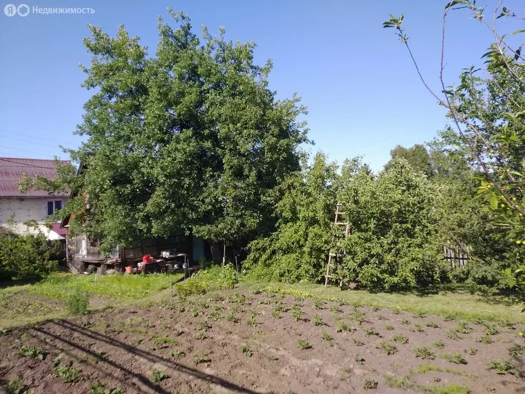 Участок в Красноярск, садоводческое некоммерческое товарищество ... - Фото 1