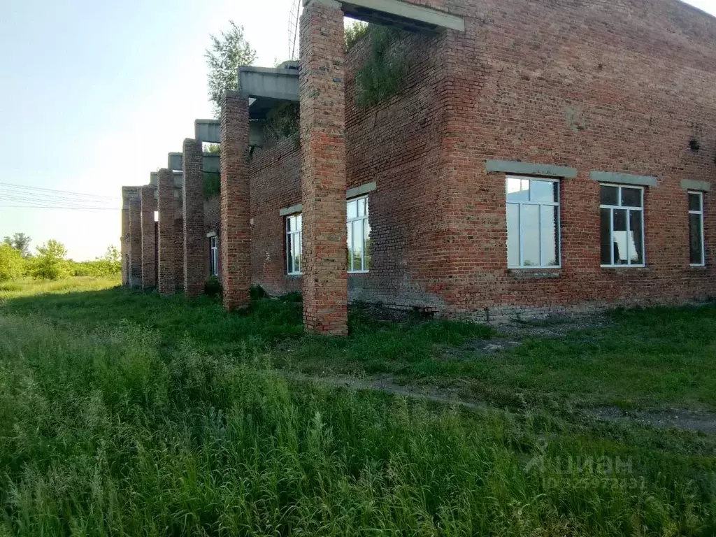 Помещение свободного назначения в Омская область, Омский район, с. ... - Фото 1