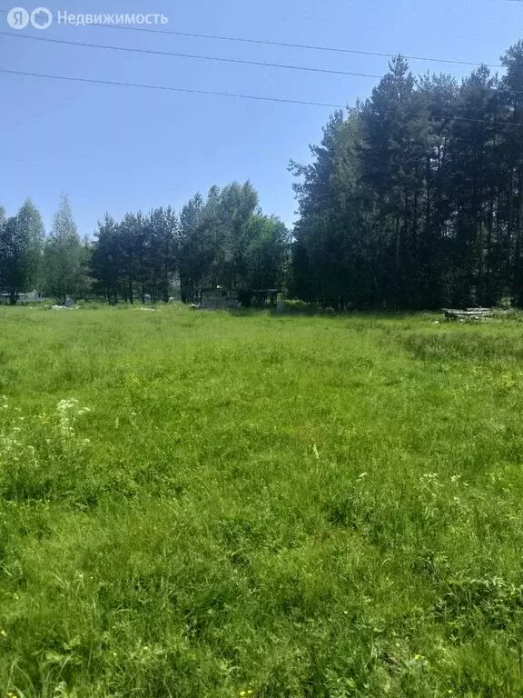 Участок в деревня Славное, Центральная улица (7600 м) - Фото 1