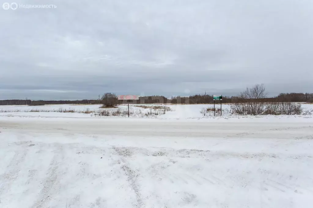 Участок в Тюменская область, Тобольский муниципальный округ, село ... - Фото 2