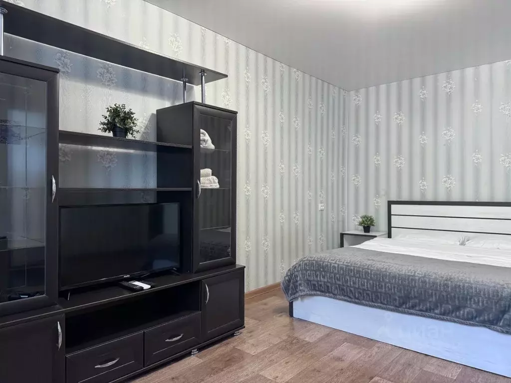 1-к кв. Ставропольский край, Ессентуки Пятигорская ул., 142 (26.1 м) - Фото 2