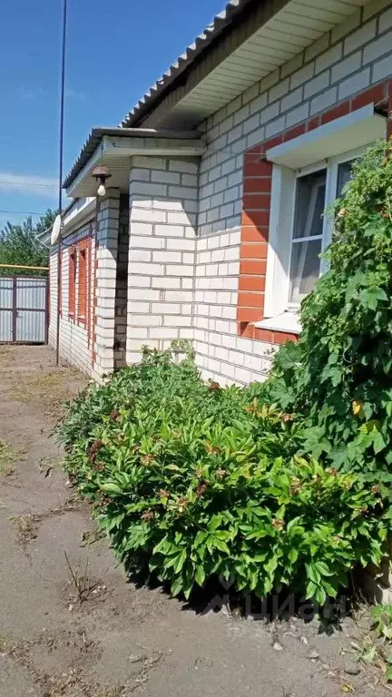 Дом в Воронежская область, Таловая рп ул. Первомайская, 150 (65 м) - Фото 1