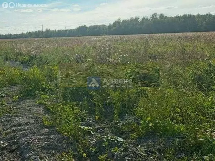 Участок в Тюменский район, Горьковское муниципальное образование (8 м) - Фото 0