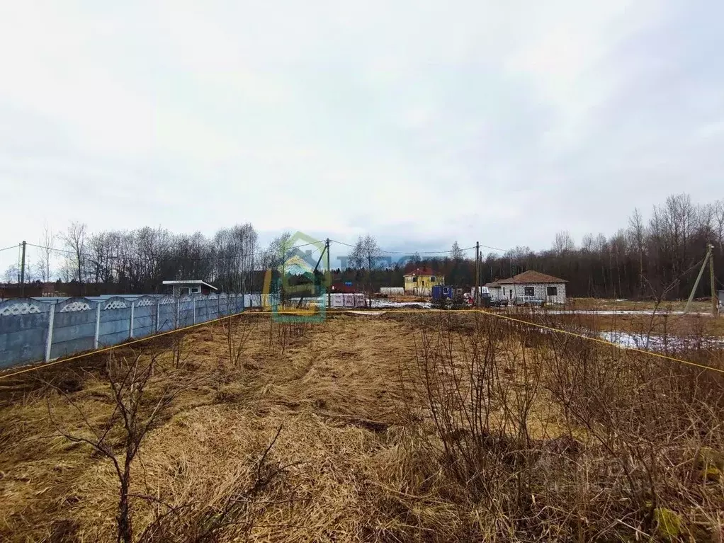 Участок в Ленинградская область, Ломоносовский район, Лопухинское ... - Фото 1
