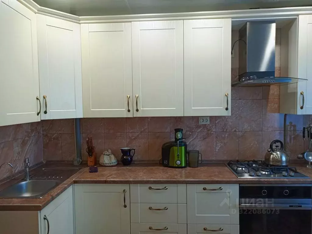 3-к кв. Новгородская область, Новгородский район, Лесновское с/пос, д. ... - Фото 2