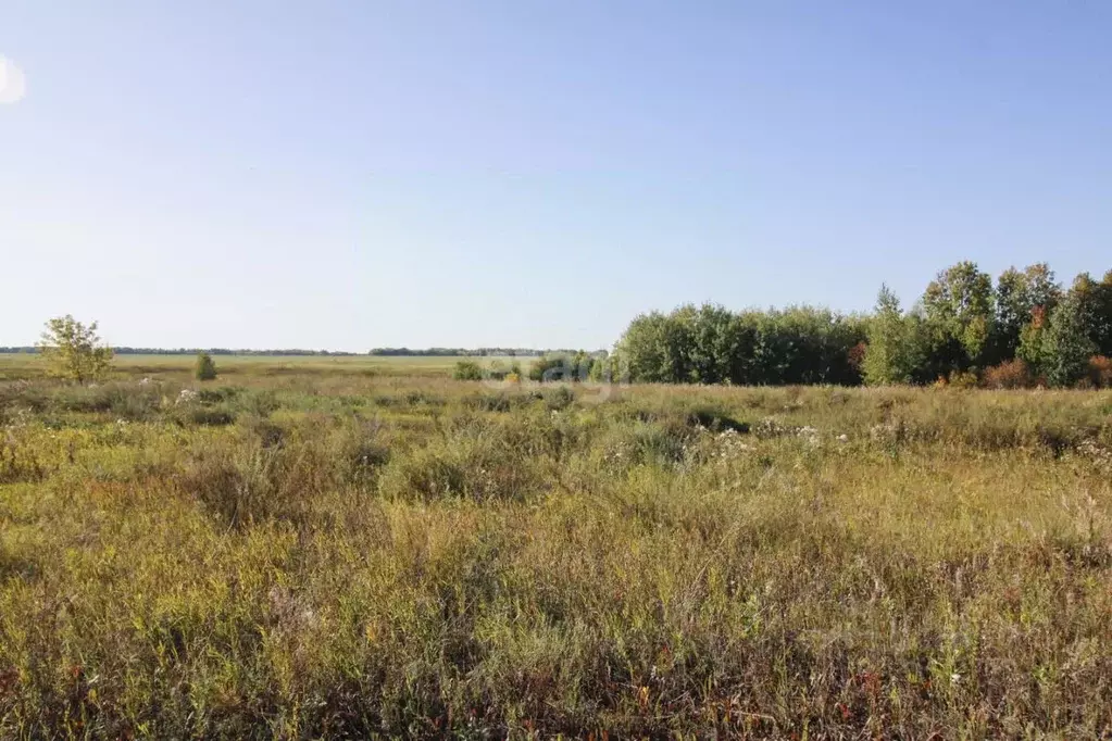 Участок в Тюменская область, Тюмень  (8.0 сот.) - Фото 1