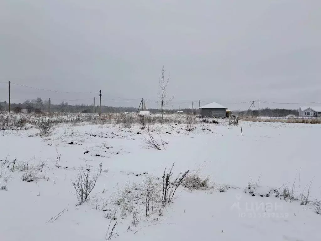 Участок в Вологодская область, Шекснинский район, д. Нифантово ... - Фото 0