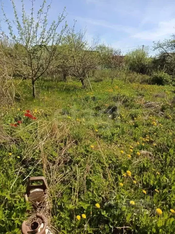 Дом в Ярославская область, Рыбинск Виктория СНТ, 65 (16 м) - Фото 1