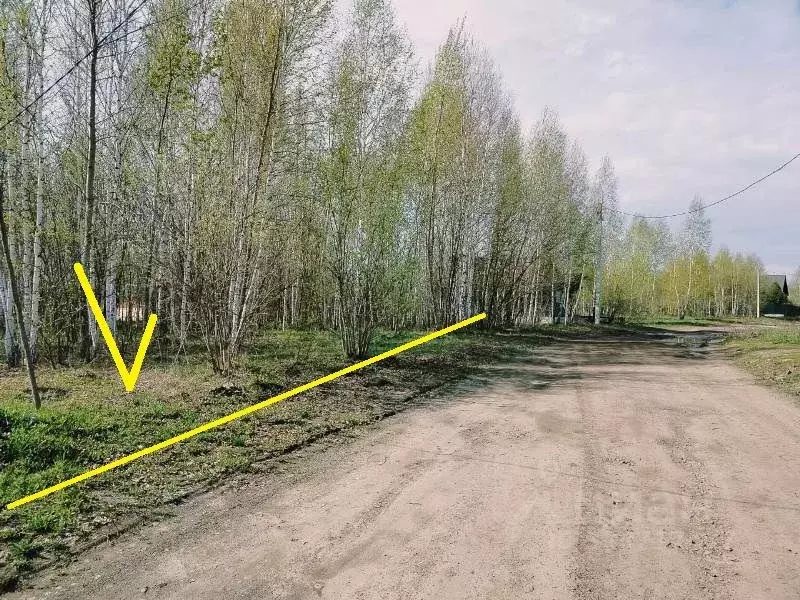 Участок в Новосибирская область, Новосибирский район, Станционный ... - Фото 1