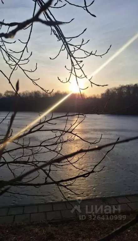 Студия Москва ул. Скульптора Мухиной, 7 (9.0 м) - Фото 1