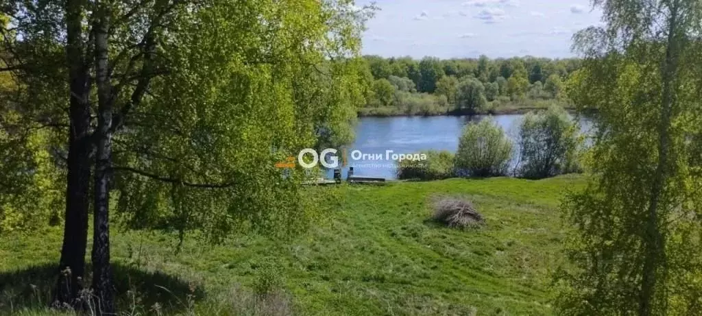 Участок в Брянская область, Выгоничский район, Сосновское с/пос, д. ... - Фото 1