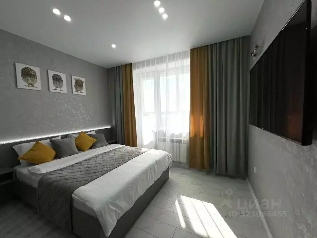 1-к кв. Новосибирская область, Бердск ул. Ленина, 114 (25.0 м) - Фото 2