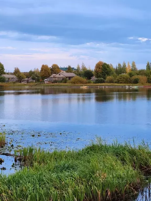 Участок в Московская область, Дмитровский муниципальный округ, ... - Фото 1