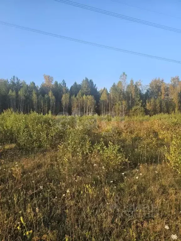 Участок в Тюменская область, Тюменский район, с. Салаирка  (20.84 ... - Фото 1