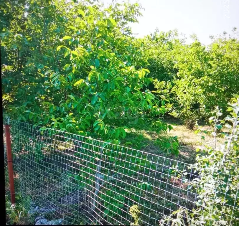 Участок в Ростовская область, Аксайский район, Большелогское с/пос, ... - Фото 1