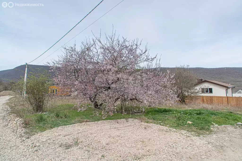 Участок в Балаклавский район, Орлиновский муниципальный округ, село ... - Фото 1