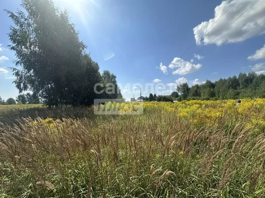 Участок в Нижегородская область, Бор муниципальный округ, д. Шубино ... - Фото 2
