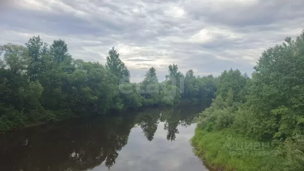 Дом в Новгородская область, Чудовский район, Грузинское с/пос, д. ... - Фото 1