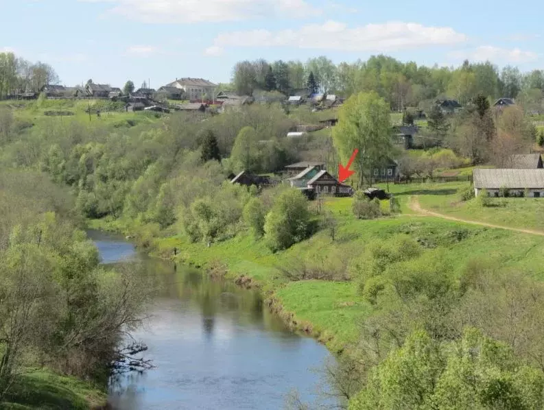 Дом в Тверская область, Оленинский район, с. Молодой Туд  (40 м) - Фото 1