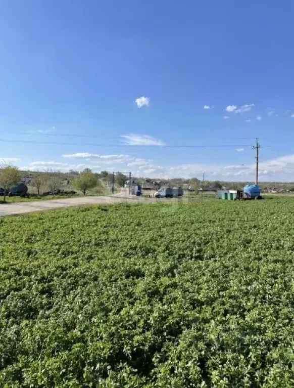 Участок в Ростовская область, Родионово-Несветайский район, ... - Фото 0