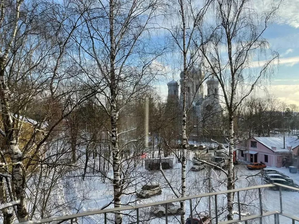 1-к кв. Ленинградская область, Гатчина ул. Карла Маркса, 45 (30.6 м) - Фото 1