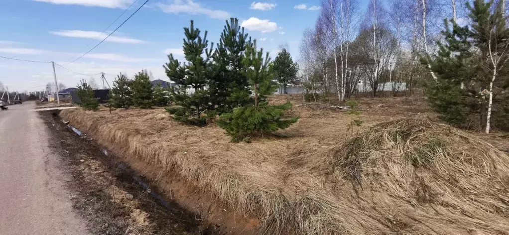 Участок в Московская область, Раменское Дергаево-3 кп,  (9.76 сот.) - Фото 1