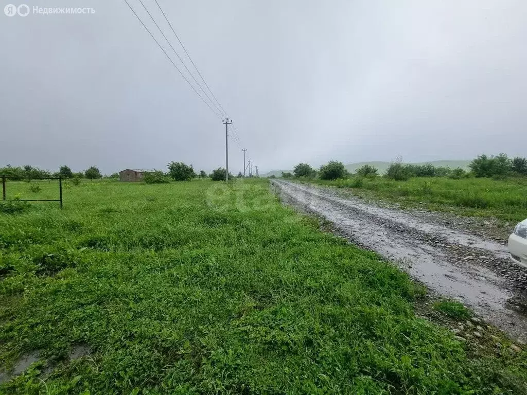 Участок в Майминский район, село Подгорное (10 м) - Фото 1