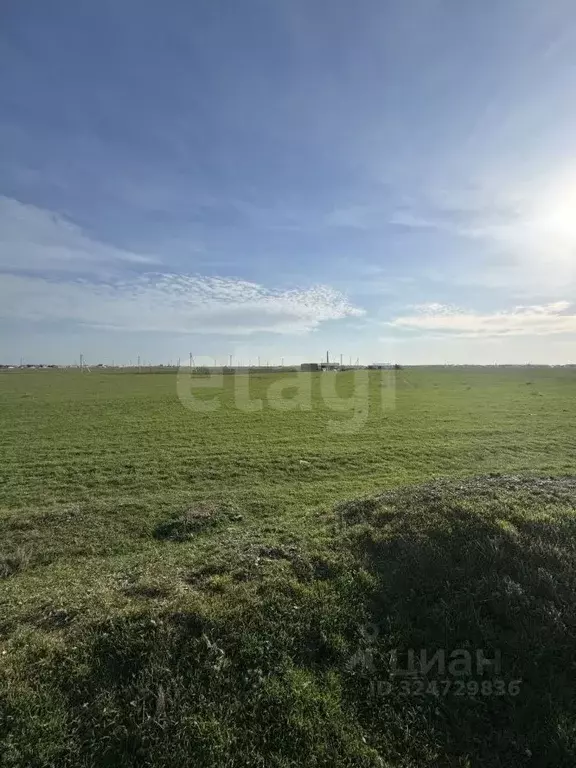 Участок в Крым, Сакский район, Ореховское с/пос, с. Михайловка  (50.0 ... - Фото 2