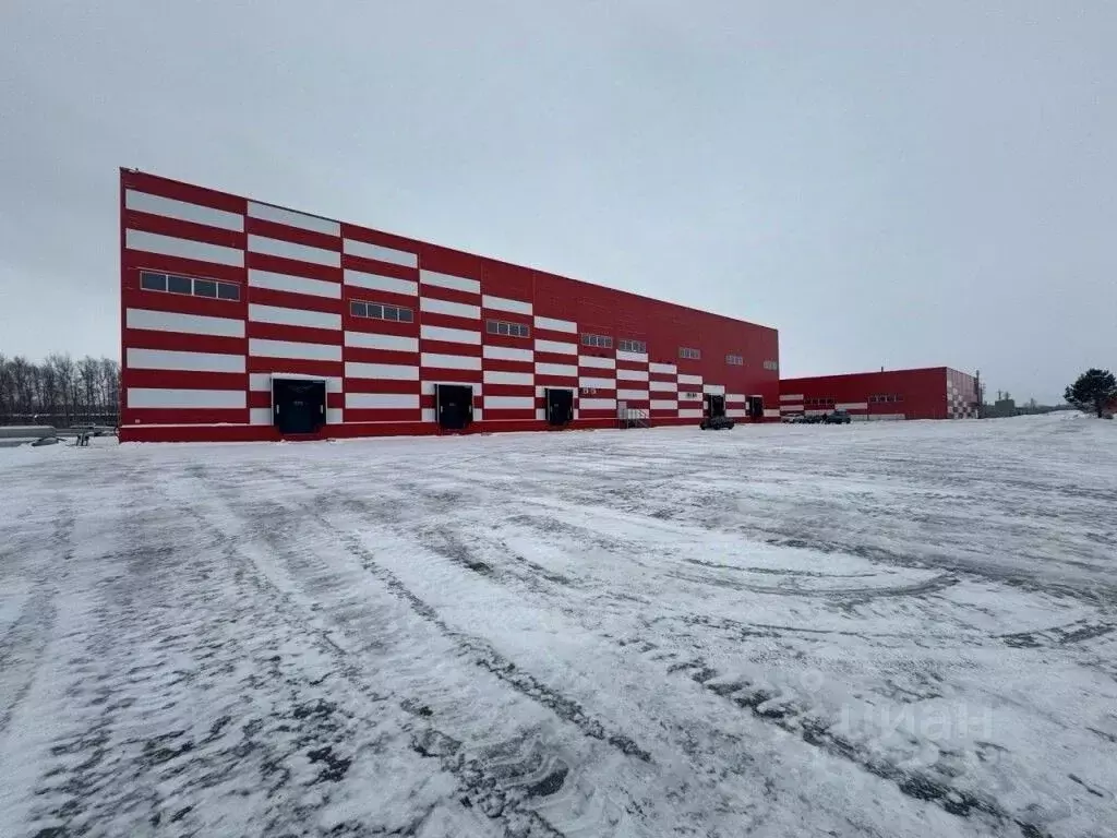 Склад в Новосибирская область, Обь тракт Омский, 19 (5040 м) - Фото 2