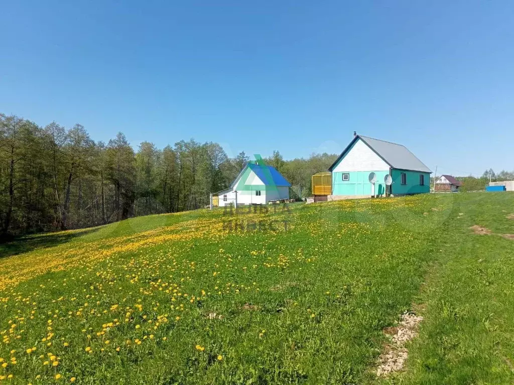 Участок 56 сот. (СНТ, ДНП) - Фото 0