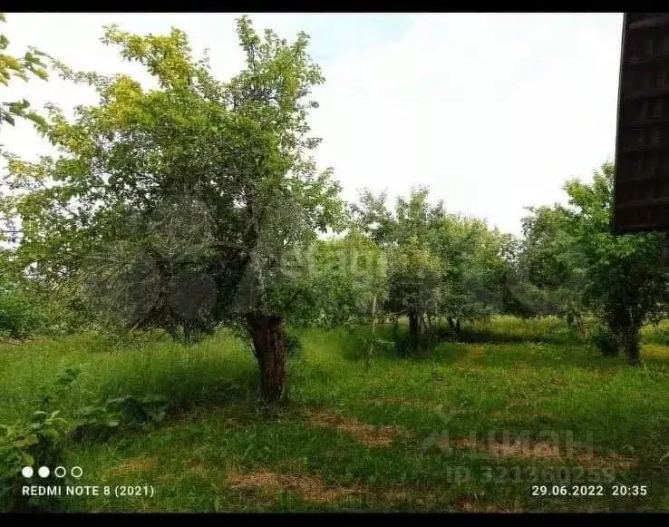 Дом в Псковская область, Печорский муниципальный округ, д. Запутье ... - Фото 2