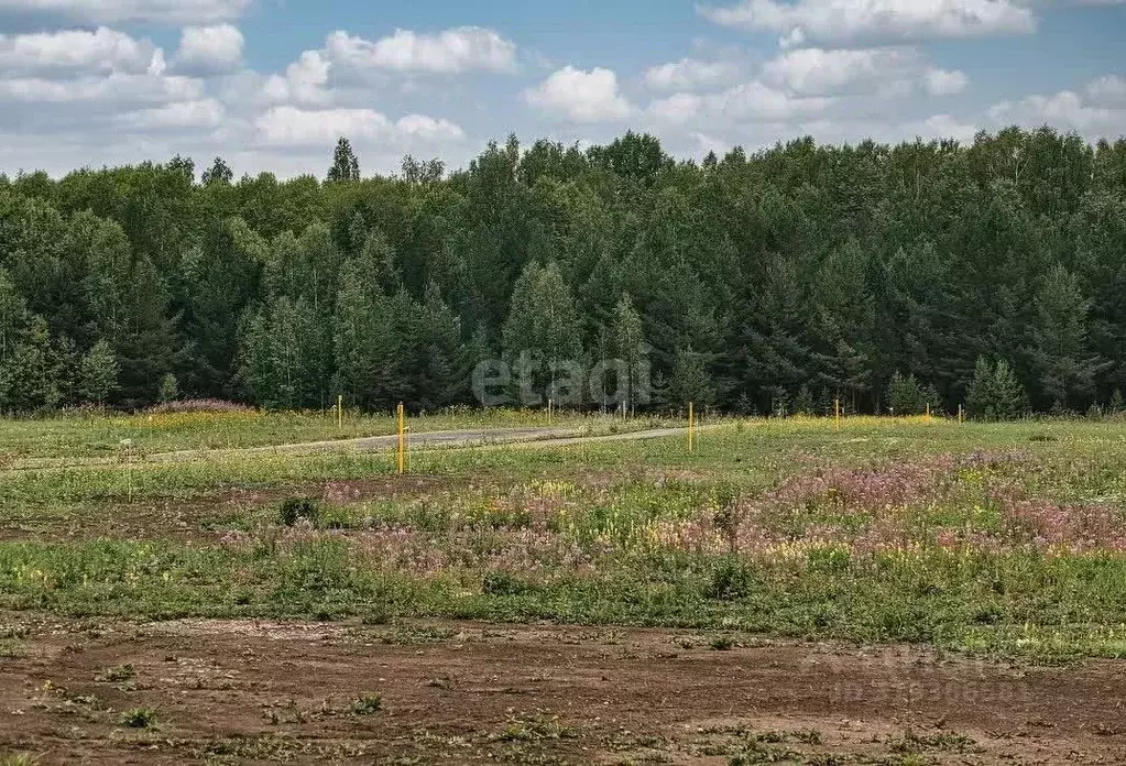 Участок в Калужская область, Жуковский район, с. Высокиничи  (10.0 ... - Фото 0