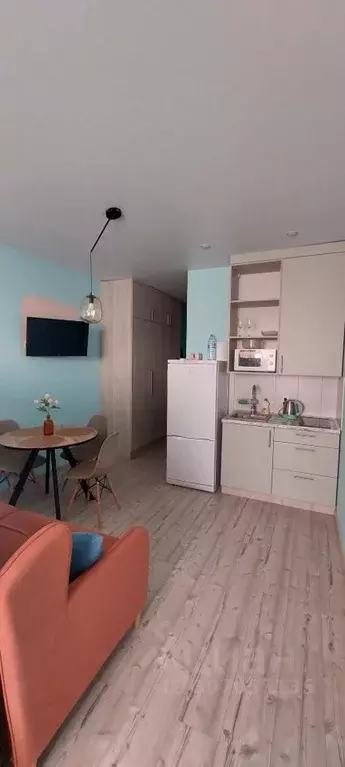 Студия Тульская область, Тула ул. Конструктора Грязева, 6 (29.0 м) - Фото 2