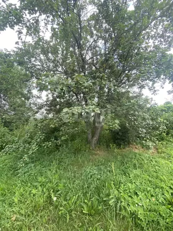 Участок в Свердловская область, Сысертский городской округ, с. Щелкун ... - Фото 1