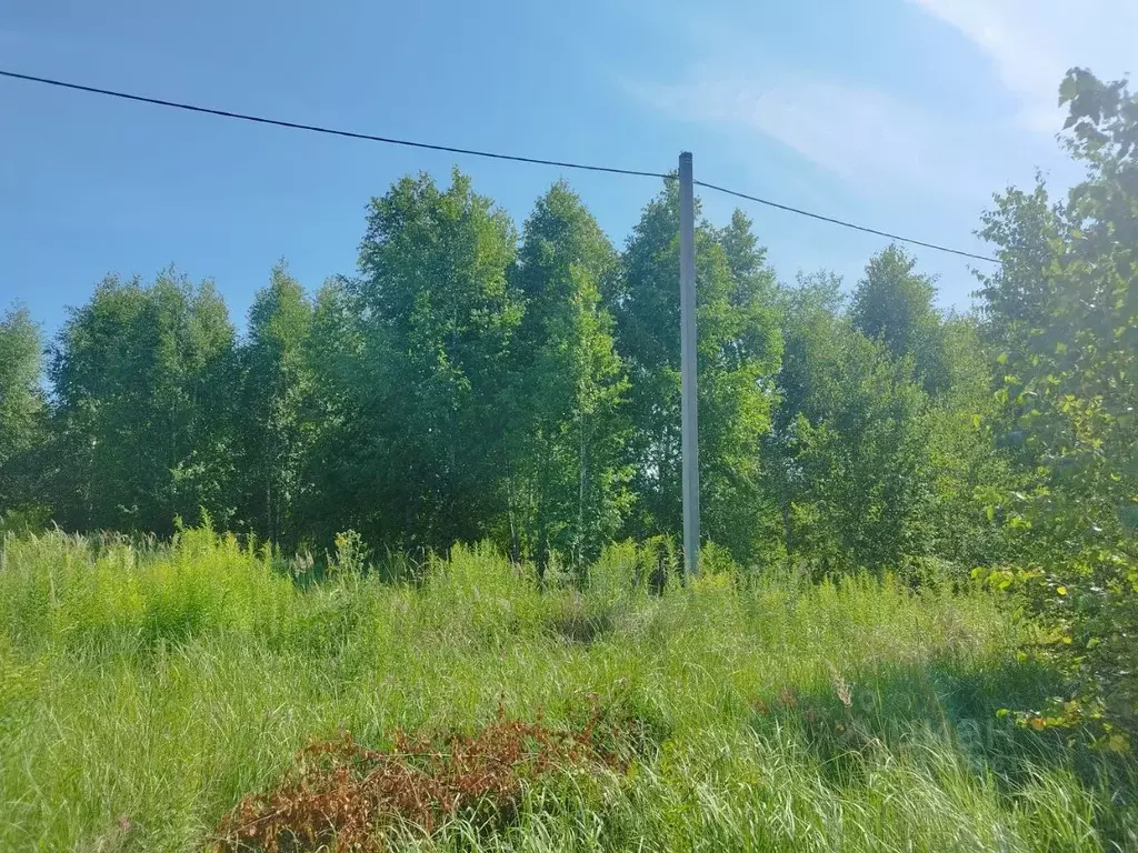 Участок в Пензенская область, Пенза проезд 3-й Радостный (6.0 сот.) - Фото 1
