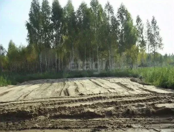 Участок в Ярославская область, Ярославский муниципальный округ, Росток ... - Фото 1